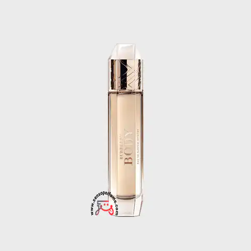 عطر ادکلن باربری بادی اینتنس